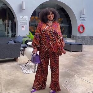 NWOT Elegant Multi-Color Women's 2-piece Pleated Pant Set